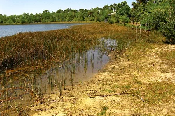 West Palm Beach Spring Arts Festival